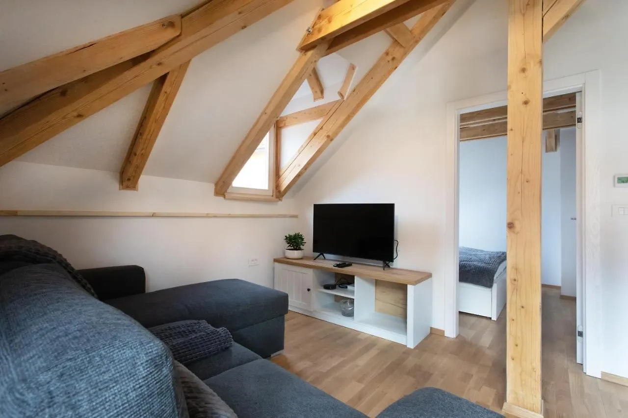 Bright & Spacious Loft In The Heart Of Old Town Laibach Apartment