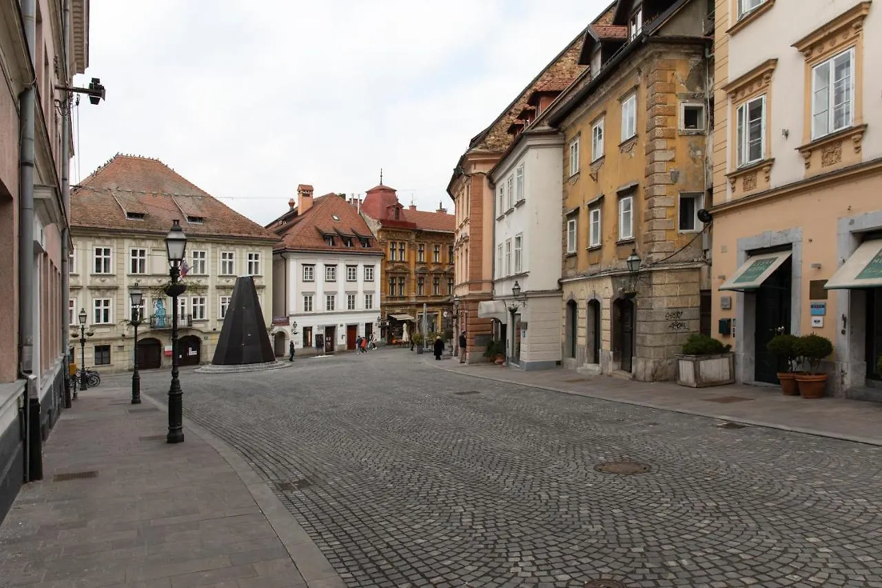 Apartment Bright & Spacious Loft In The Heart Of Old Town Laibach
