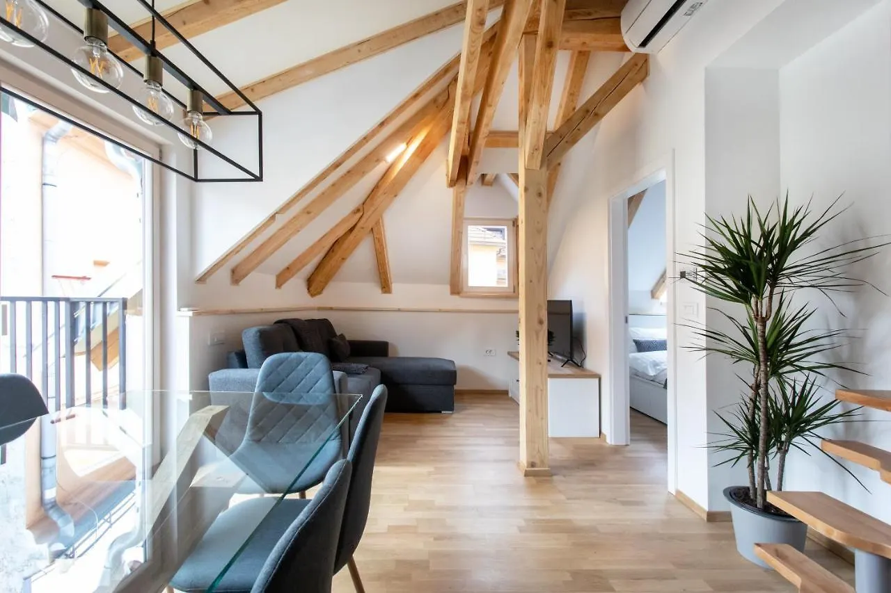 Bright & Spacious Loft In The Heart Of Old Town Laibach 0*,