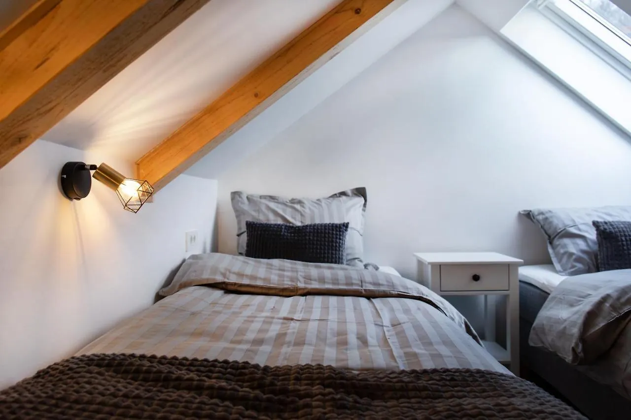 Bright & Spacious Loft In The Heart Of Old Town Laibach Slowenien