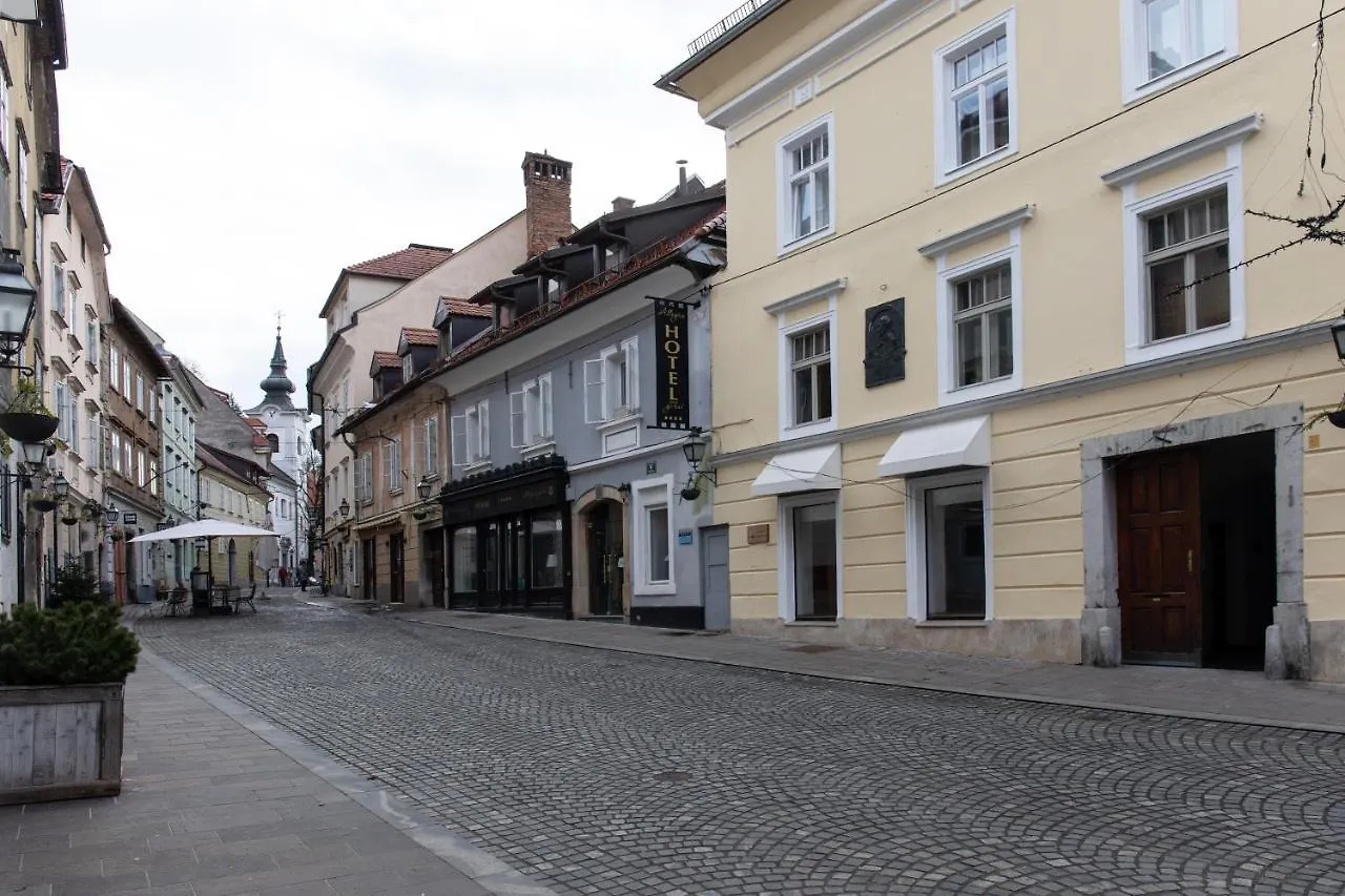 Bright & Spacious Loft In The Heart Of Old Town Laibach 0*,  Slowenien