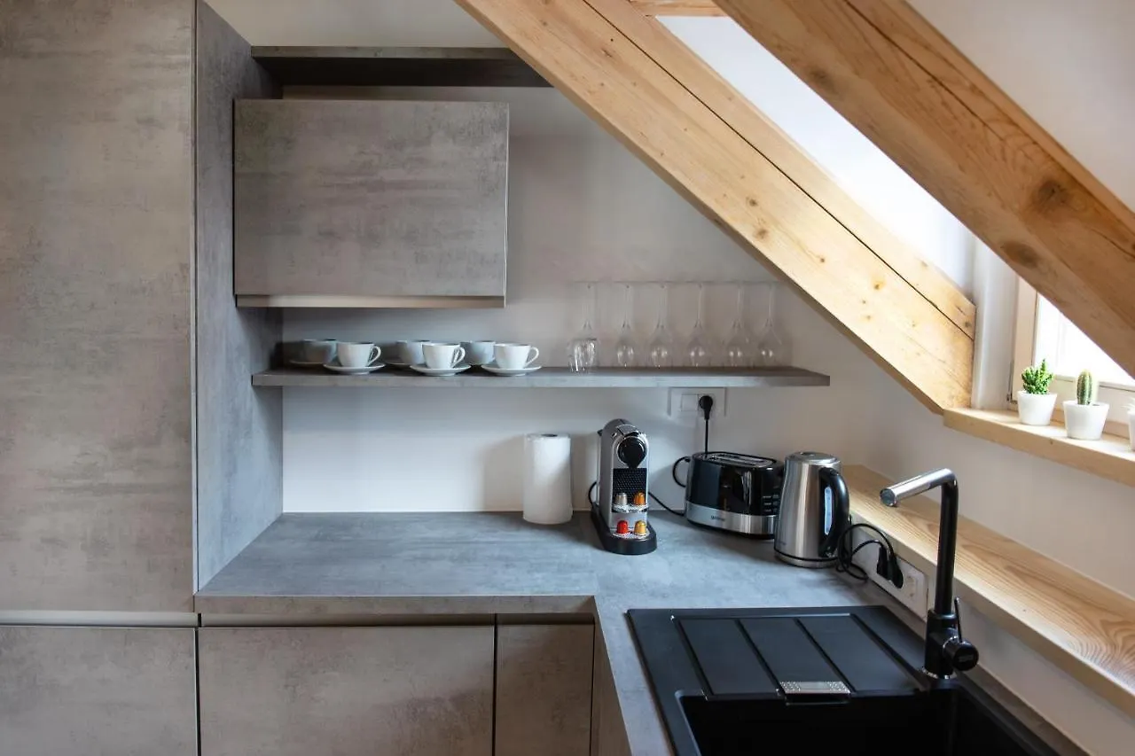 Apartment Bright & Spacious Loft In The Heart Of Old Town Laibach